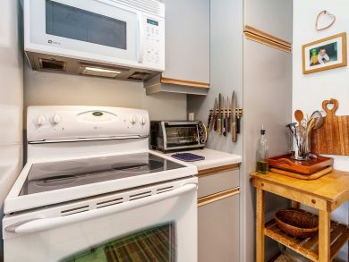 Snowmass Condo 927318