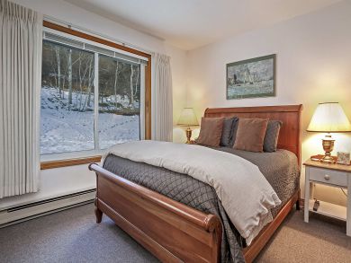 Snowmass Condo 927318