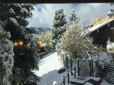 Snowmass Condo 927318