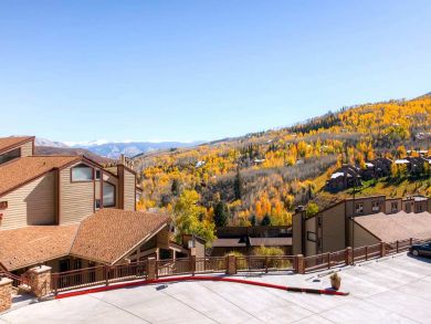 Snowmass Condo 927319