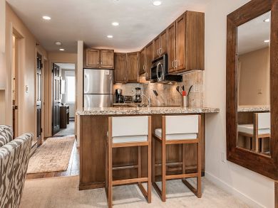 Snowmass Condo 927323