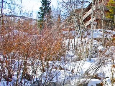 Snowmass Condo 927323