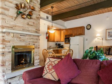 Snowmass Condo 927324