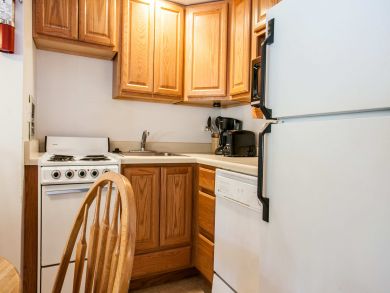 Snowmass Condo 927324