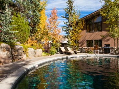 Snowmass Condo 927324