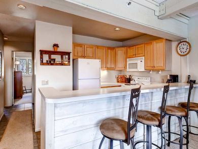 Snowmass Condo 927325