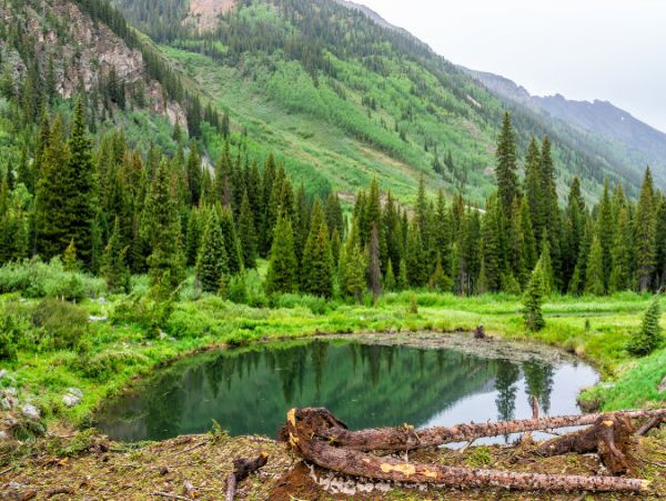 Great Views Snowmass Vacation Home Five Bedroom