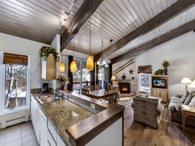 Snowmass Condo 927331