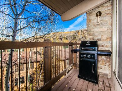 Snowmass Condo 927331