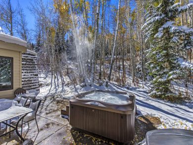 Snowmass Home 927333