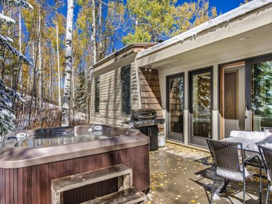Snowmass Home 927333
