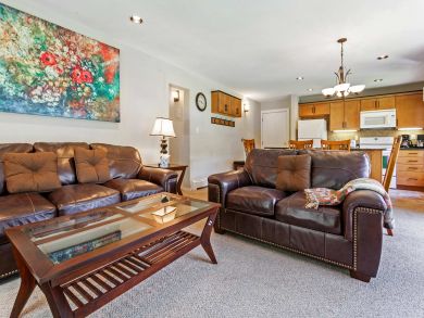 Snowmass Condo 927335