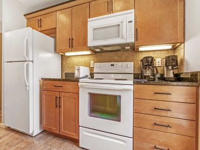 Snowmass Condo 927335