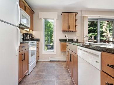 Snowmass Condo 927335