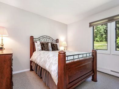 Snowmass Condo 927335
