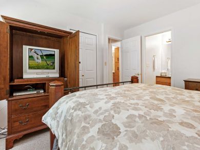 Snowmass Condo 927335