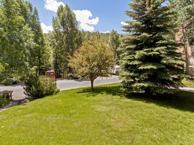Snowmass Condo 927335