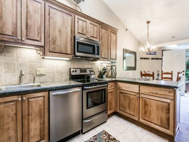 Snowmass Condo 927336