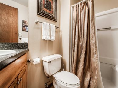 Snowmass Condo 927336