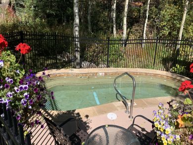Snowmass Condo 927337 Snowmass Condo 927337