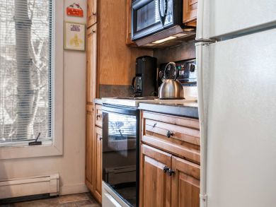 Snowmass Condo 927338