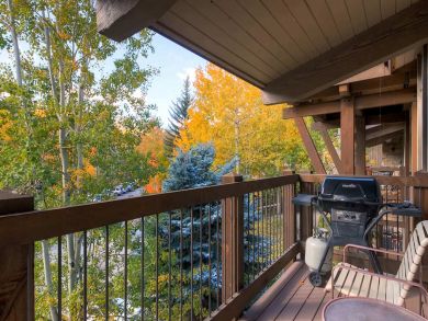 Snowmass Condo 927339