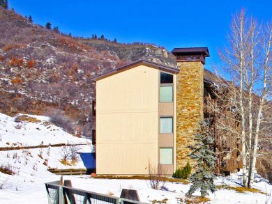 Snowmass Condo 927339