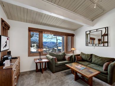 Snowmass Condo 927341