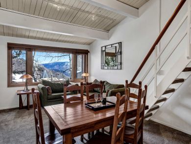 Snowmass Condo 927341