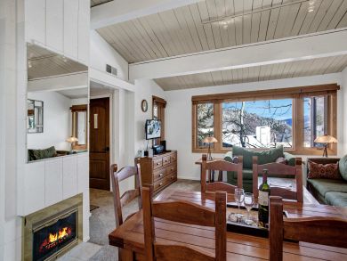 Snowmass Condo 927341