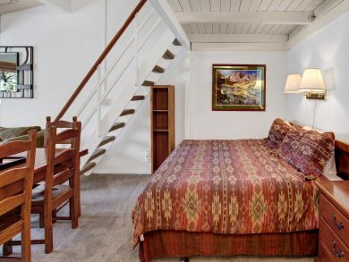 Snowmass Condo 927341