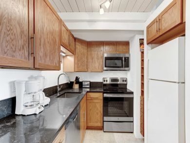 Snowmass Condo 927341