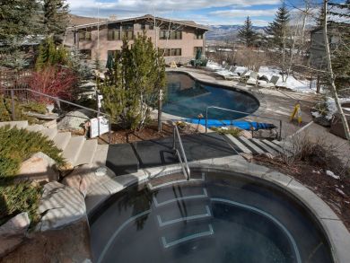Snowmass Condo 927341