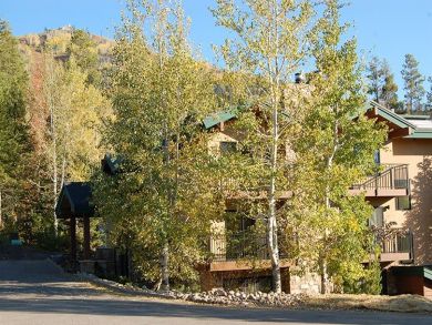 Steamboat Springs Home 927349