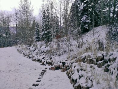 Steamboat Springs Home 927351