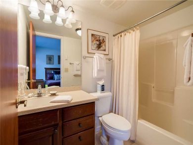 Steamboat Springs Home 927351