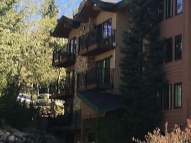 Steamboat Springs Home 927353