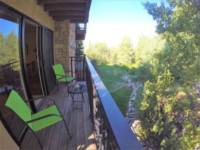 Steamboat Springs Home 927353