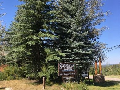 Steamboat Springs Home 927353