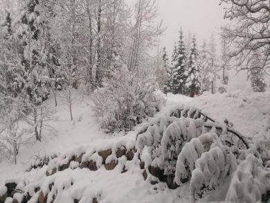 Steamboat Springs Home 927353