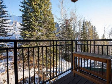 Steamboat Springs Home 927354