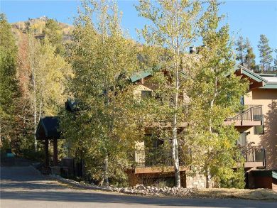 Steamboat Springs Home 927354