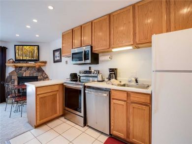 Steamboat Springs Home 927357