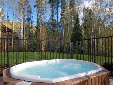 Steamboat Springs Home 927358