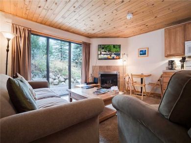 Steamboat Springs Home 927358