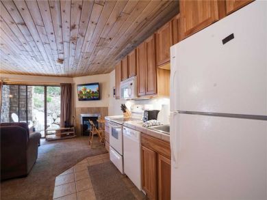 Steamboat Springs Home 927358