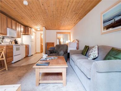 Steamboat Springs Home 927358