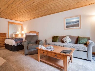 Steamboat Springs Home 927358