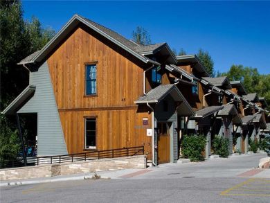 Steamboat Springs Home 927359