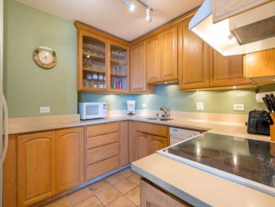 Kaanapali Two Bedroom Ocean View Rental Condo